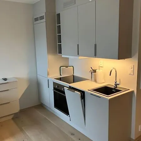 Sentral Og Moderne Leilighet Pa *
